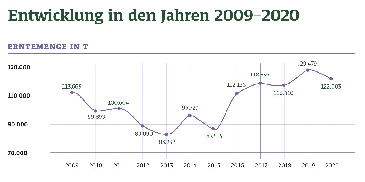 BarthHaas Bericht Hopfen 2020/2021
