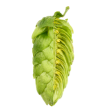 Image of Cascade CAS