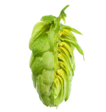 Image of Harmonie HRM