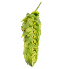 Image of Huell Melon HMN