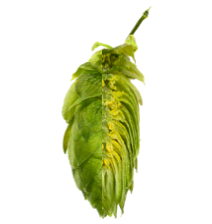 Image of Sladek SLD