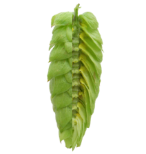Image of Vic Secret™